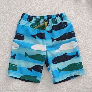Gymboree Boys Whale Swim Trunks Size 6 Blue Nautical